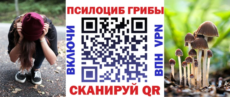 Псилоцибиновые грибы Psilocybine cubensis  Суоярви 